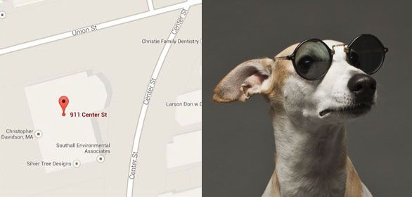 Lorri's dog with office map